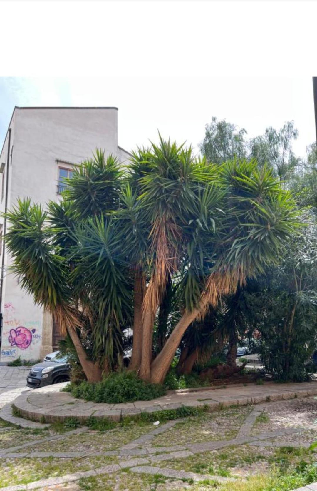 Sicily Guest House 2 - Palermo, Palermo